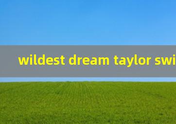 wildest dream taylor swift歌词